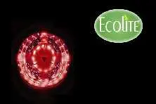 [CINT-5050-60LED/R] CINTAS 5050 5 METROS  60 LED ROJO