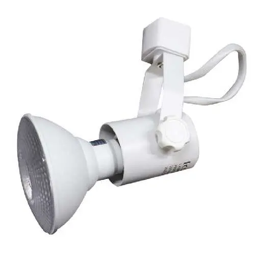 [LAMRIEL-2906-1] LAMPARA DE RIEL E27 PAR 30/38